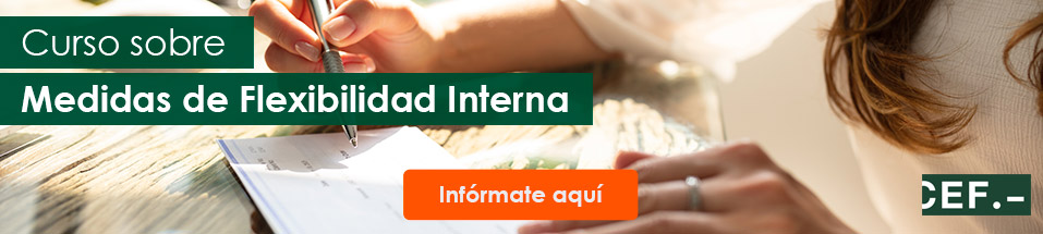 Curso sobre las Medidas de Flexibilidad Interna