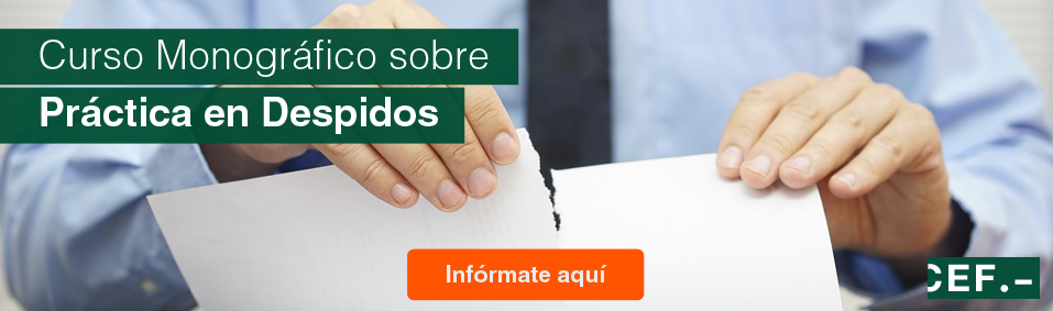 Curso Monográfico sobre Práctica en Despidos