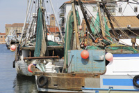 Órgano de la OIT adopta un nuevo salario mínimo para la gente de mar