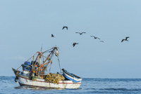Aprobada la Ley de Protección Social de los trabajadores del mar