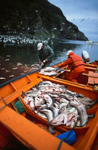 El Gobierno aprueba el proyecto de Ley que regulará la protección social de todos los trabajadores del sector marítimo-pesquero