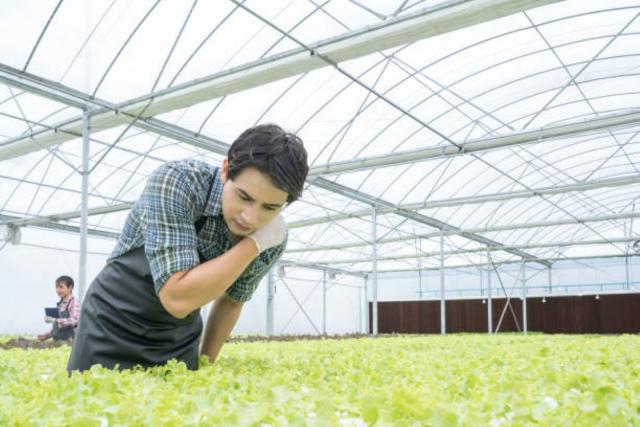 Seguridad y salud en la agricultura