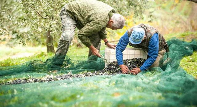 empleo sector agrario