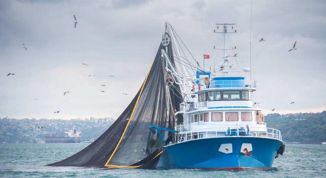 No se dan las notas propias del accidente en misión. Imagen de barco de pesca con redes y gaviotas