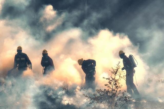 Bomberos forestales. Segunda actividad