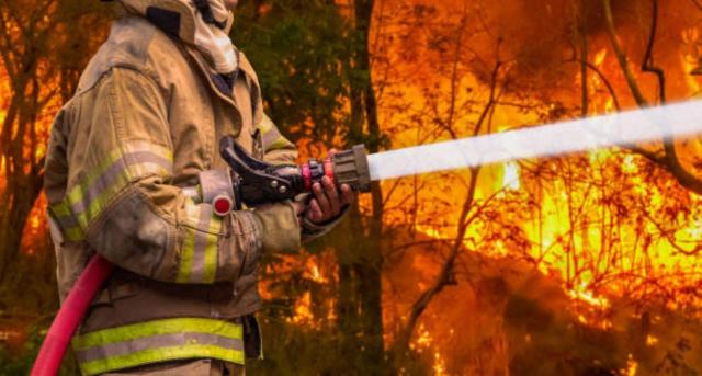 Bomberos forestales