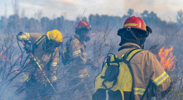 El RD 817/2025 modifica el RD 383/2008 e incorpora a los bomberos forestales al régimen de coeficiente reductor de la edad de jubilación, estableciendo un 0,20 por año trabajado, reglas de cómputo Coeficiente reductor de jubilación para bomberos forestales. Imagen de unos bomberos forestales apagando un fuego en un bosque