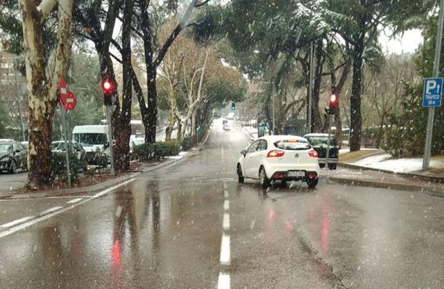 Medidas urgentes para proteger el empleo para paliar los daños de las borrascas