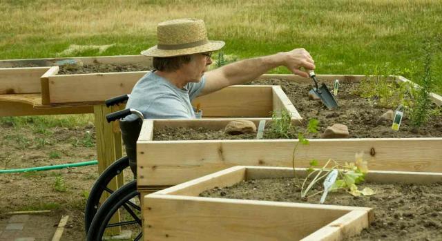 Centros especiales de empleo; convenio colectivo aplicable; diferencias salariales; no discriminación. Una persona en una silla de ruedas, con una herramienta en la mano, está cultivando en una jardinera adaptada