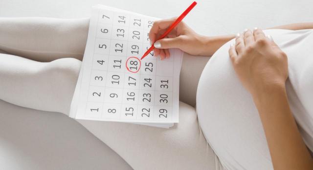 Permiso adicional de maternidad. Mujer embarazada sentada marcando un día en un calendario