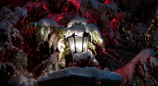 Normativa de las comunidades autónomas; ayudas y subvenciones. Imagen de una farola cubierta de nieve