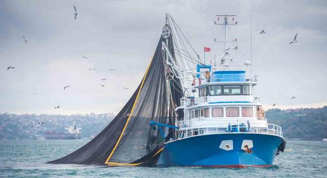 ector marítimo-pesquero. Nueva actualización de la prórroga de determinados certificados. Imagen de un barco en alta mar